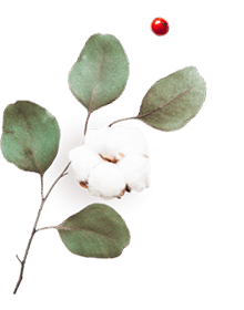 https://xn--lashalucas-wedding-lzb.com/wp-content/uploads/2020/10/floating_image_06.png