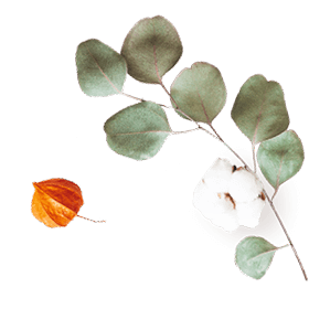 https://xn--lashalucas-wedding-lzb.com/wp-content/uploads/2020/10/floating_image_07.png